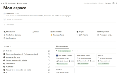 Comment organiser son entreprise avec  NOTION ?